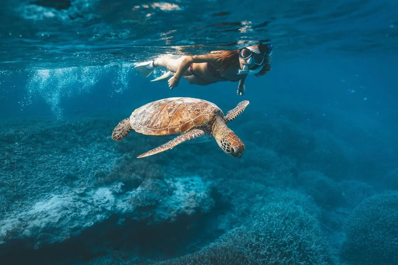 Heron Island Rezort Heron Island