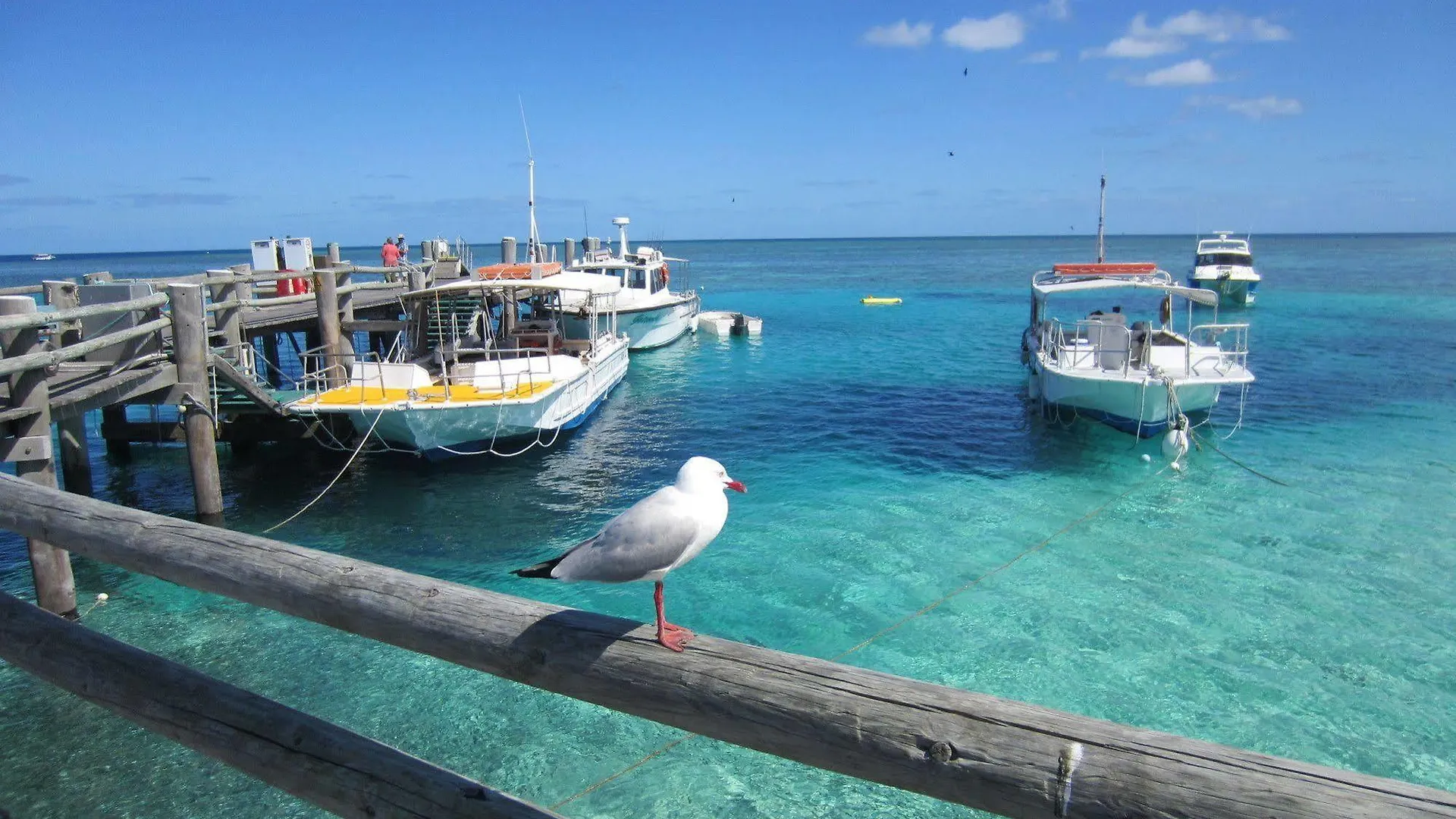 Heron Island Heron Island