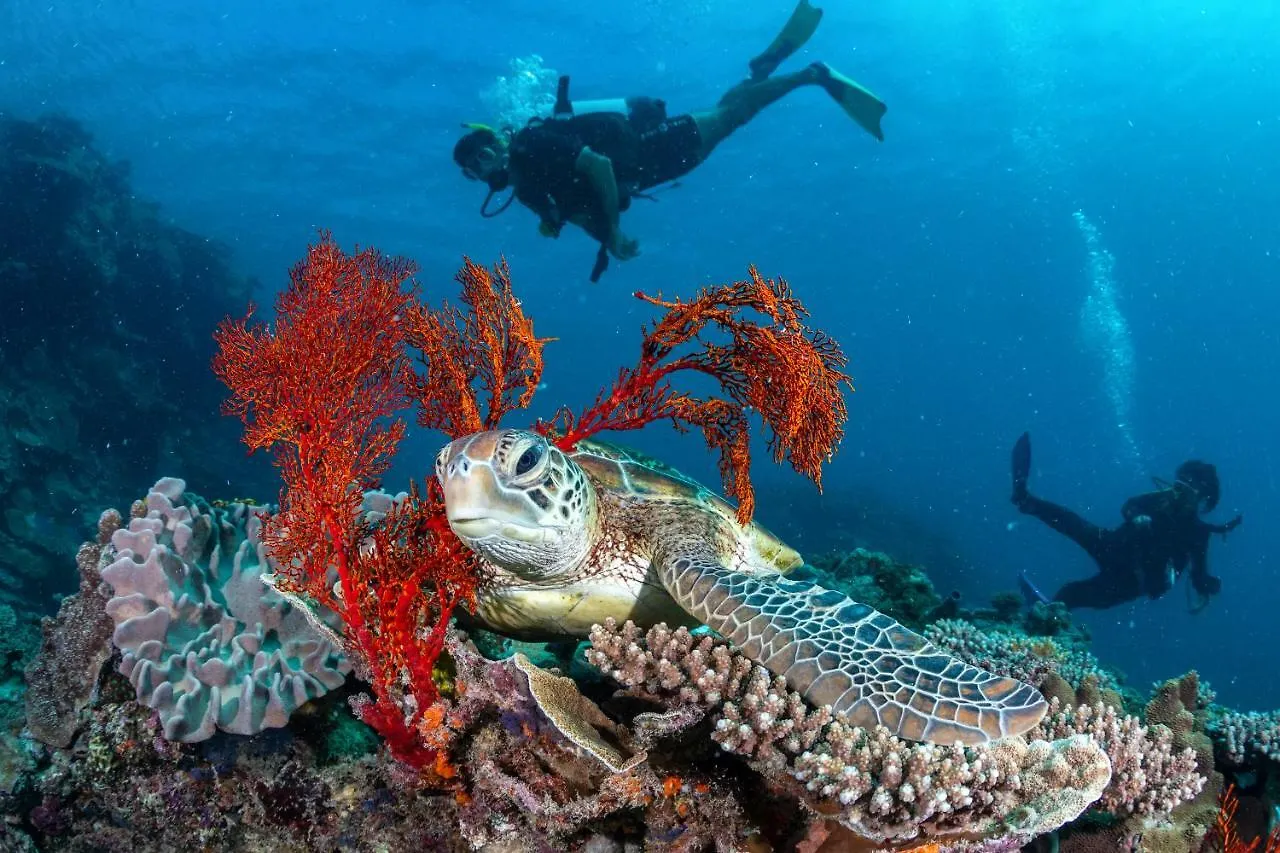 Heron Island Resort