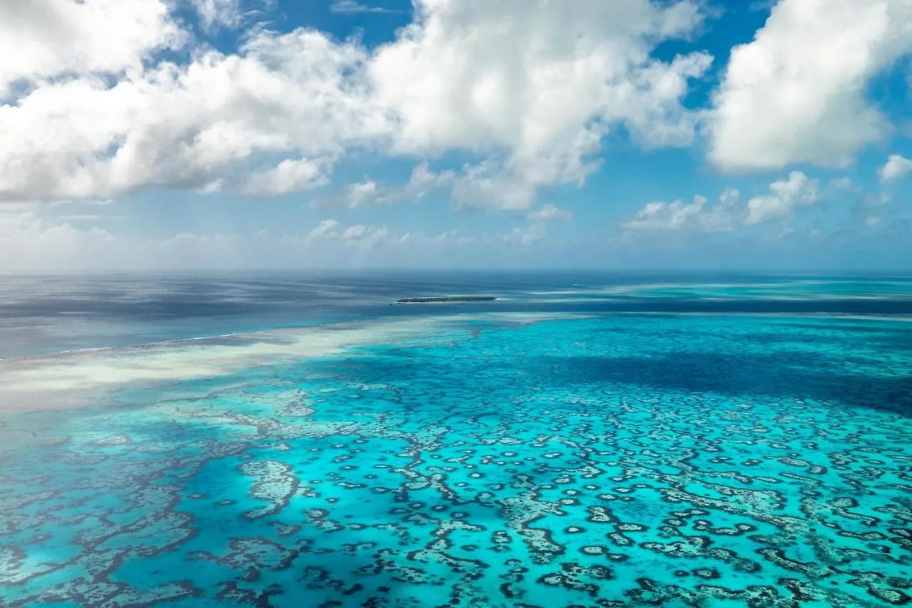 Heron Island Heron Island